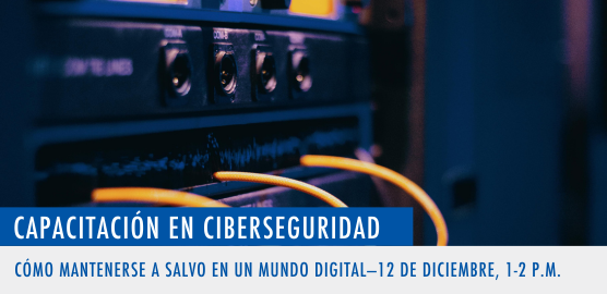 Sumario del seminario web sobre la ciberseguridad