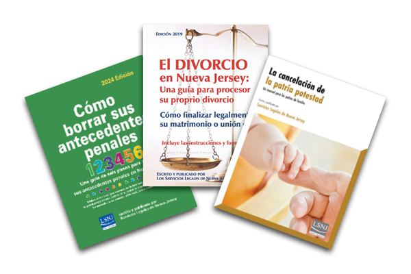 Guías y manuales jurídicos